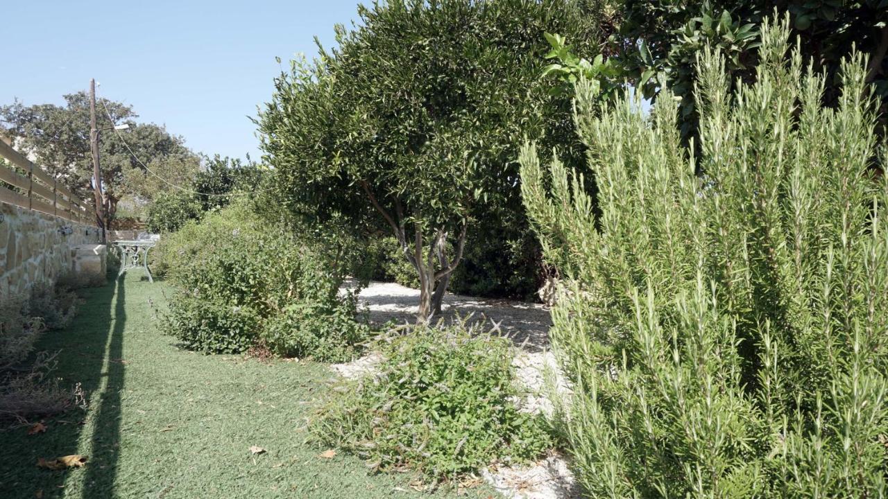Studio Eleni - Oasis Holiday Houses Коккинос Пиргос Экстерьер фото